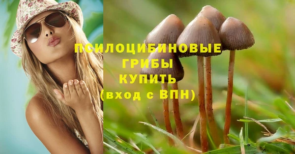 альфа пвп Куйбышев